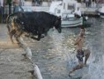 /album/funny-pictures/bull-run-thing-470x360-jpg1/