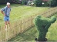 /album/funny-pictures/imgad-jpg1/
